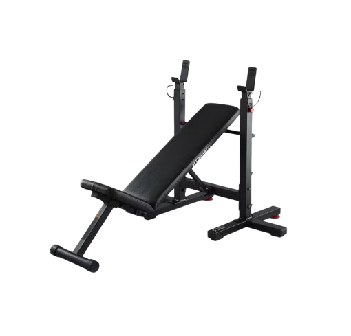 Weight Bench with dumbbell support (adjustable)